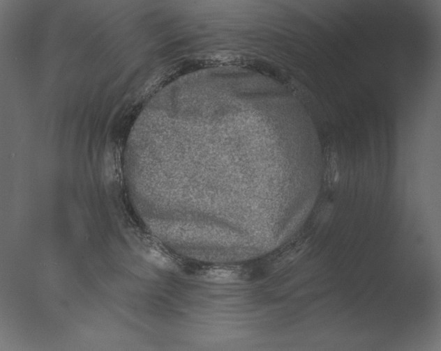 X0000076340236200610201742