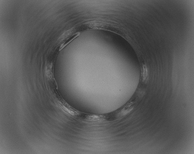 X0000076340239200610201742