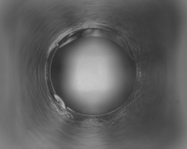 X0000076340244200610201741