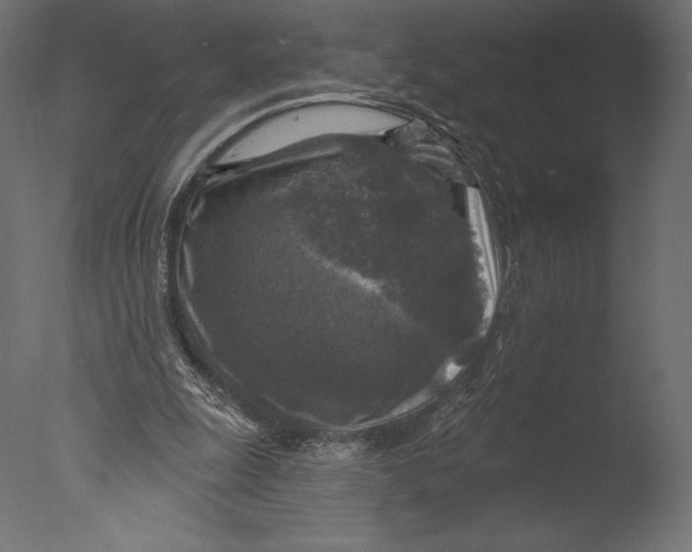 X0000076340247200610201741