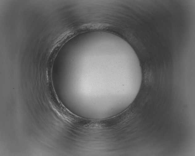 X0000076340254200610201742