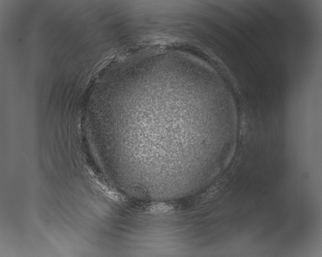 X0000076340257200610201742