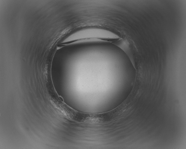 X0000076340260200610201742