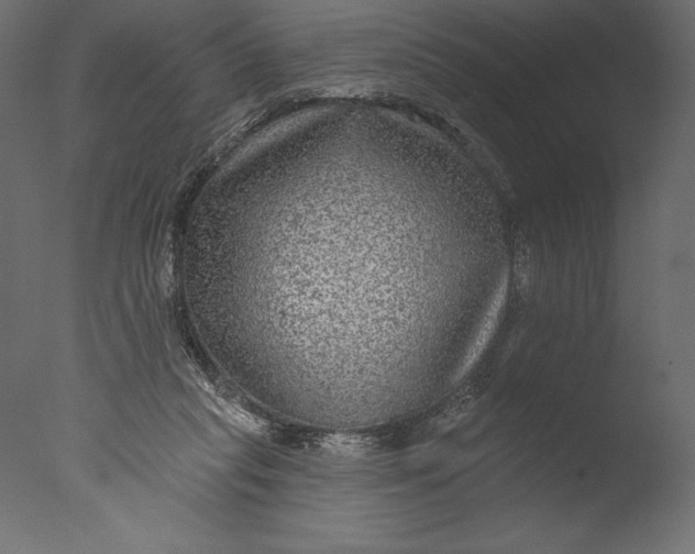 X0000076340261200610201742