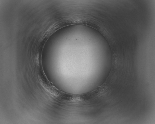 X0000076340262200610201742