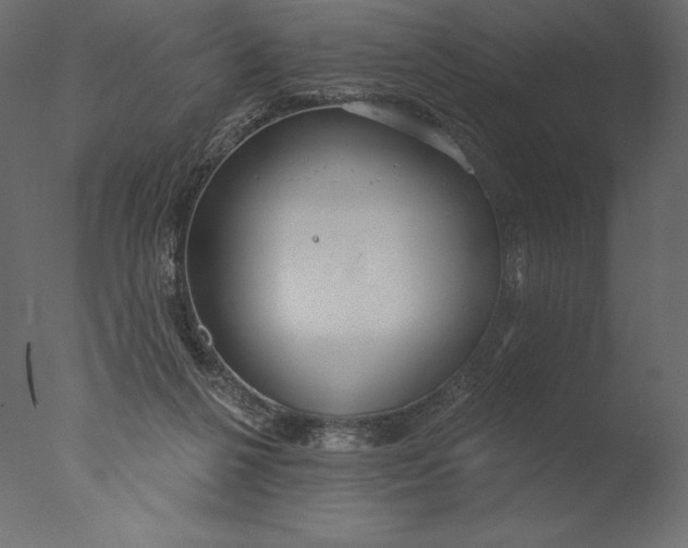 X0000076340264200610201742