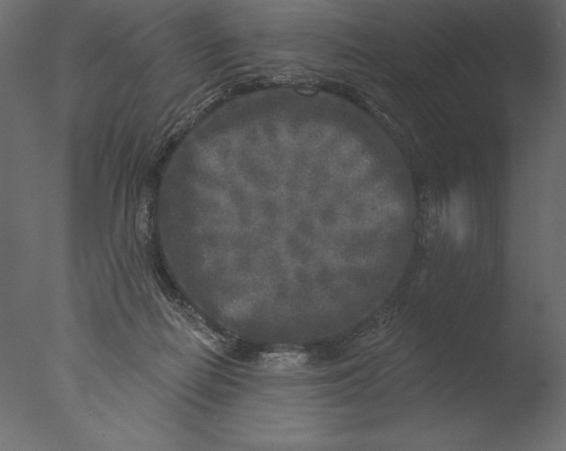 X0000076340266200610201742