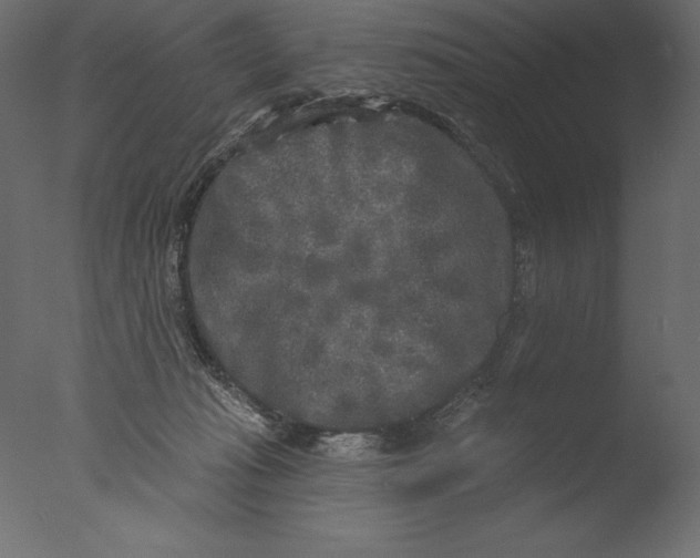 X0000076340269200610201742