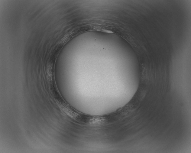 X0000076340274200610201742