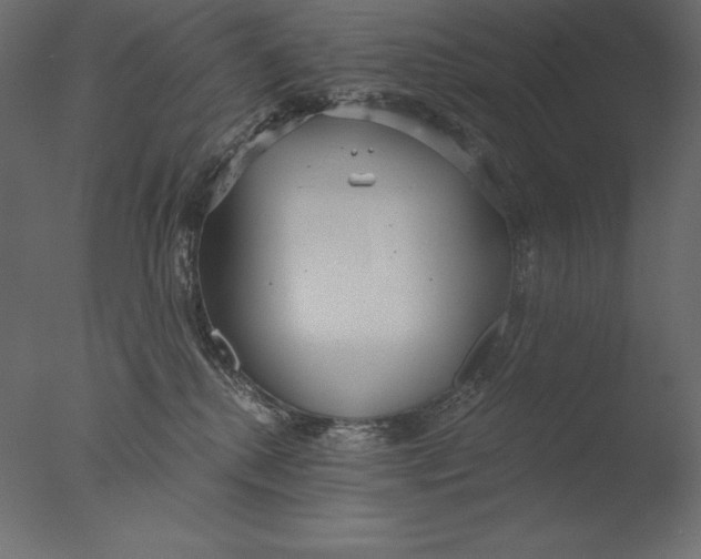 X0000076340280200610201742