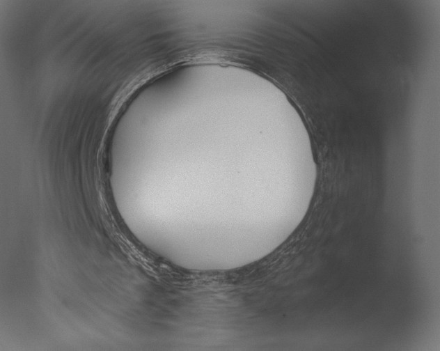 X0000076340289200610201741