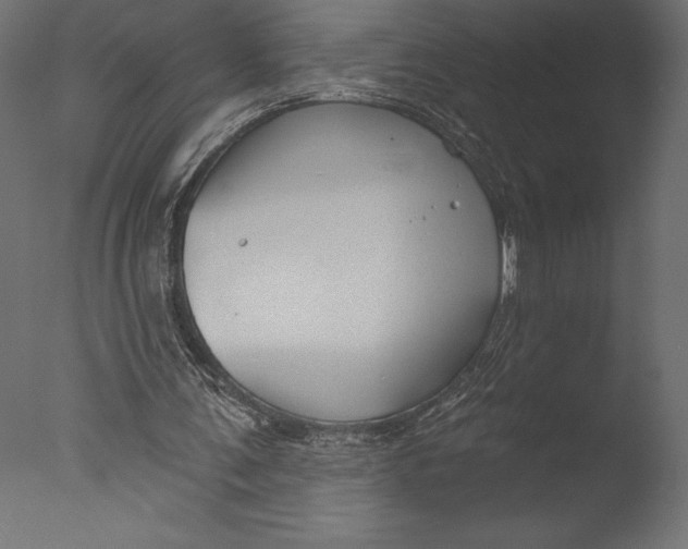 X0000076340291200610201741