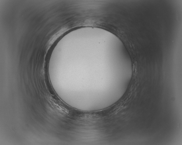 X0000076340292200610201741