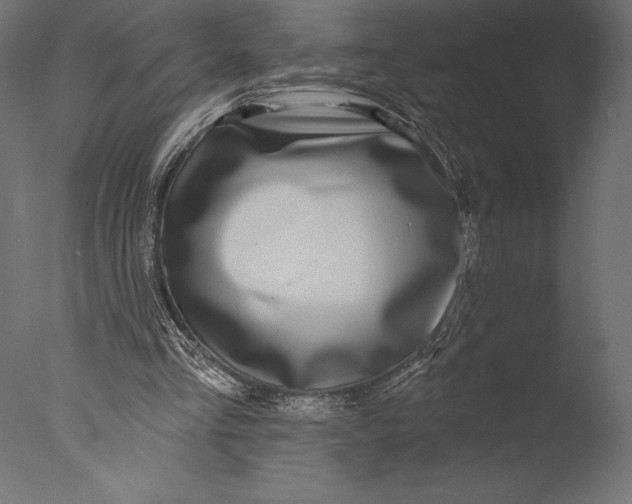 X0000076340293200610201741