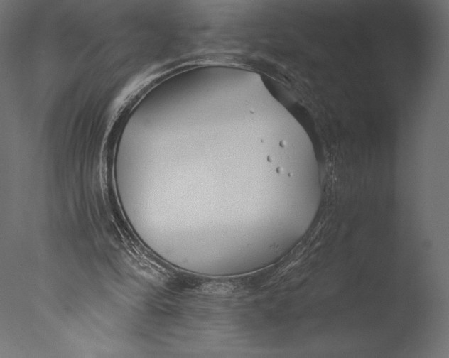 X0000076340294200610201741