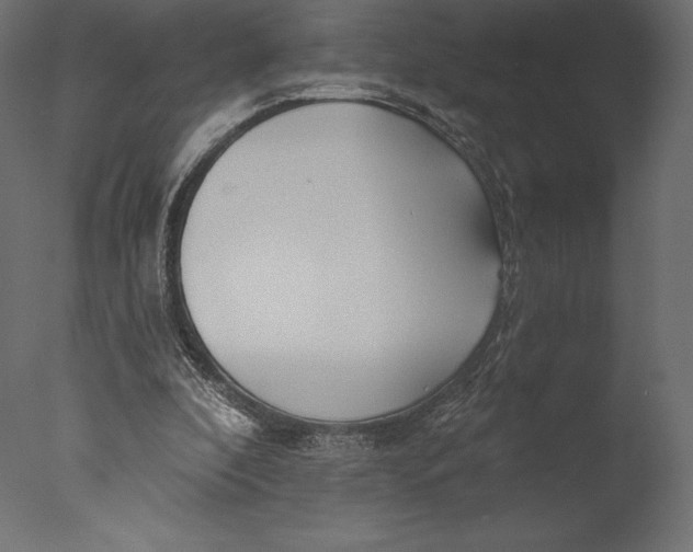 X0000076340296200610201741