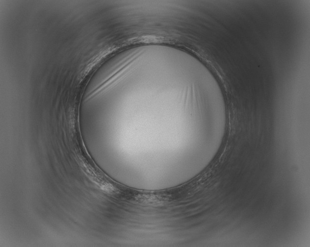 X0000076340297200610201741
