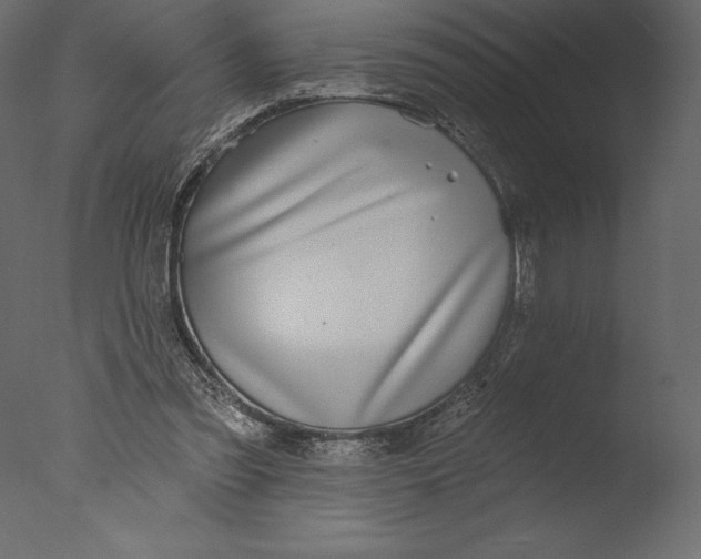 X0000076340301200610201741