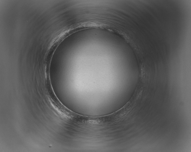 X0000076340302200610201741