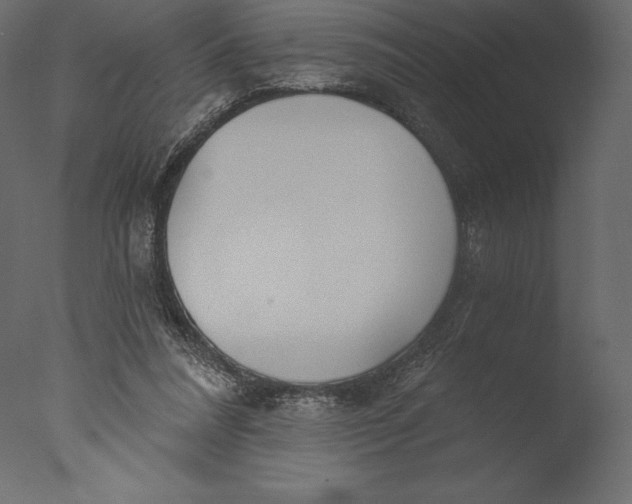 X0000076340304200610201741