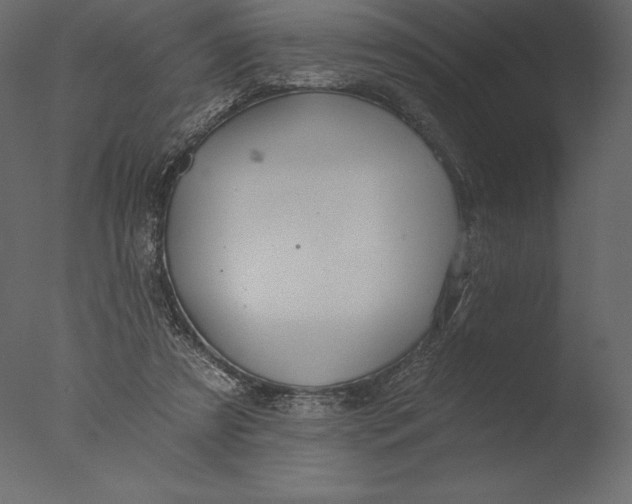 X0000076340305200610201741