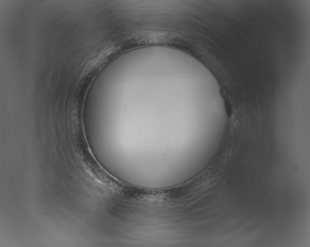X0000076340306200610201741
