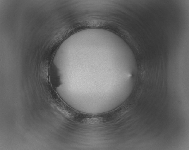 X0000076340307200610201741