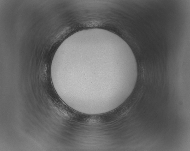 X0000076340308200610201741