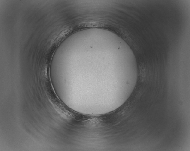 X0000076340310200610201741