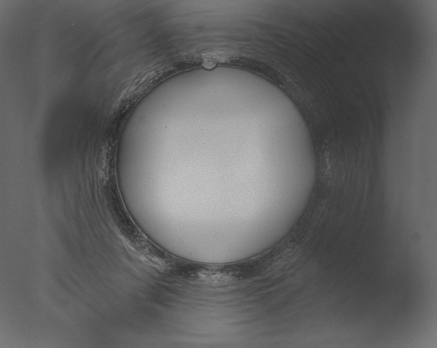 X0000076340311200610201741