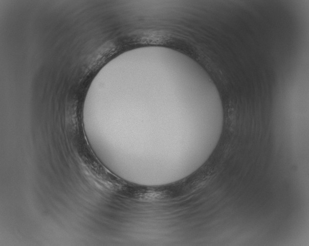 X0000076340312200610201741