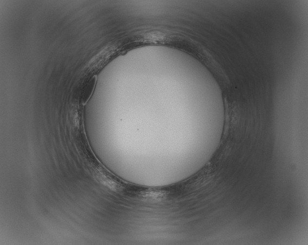 X0000076340313200610201741