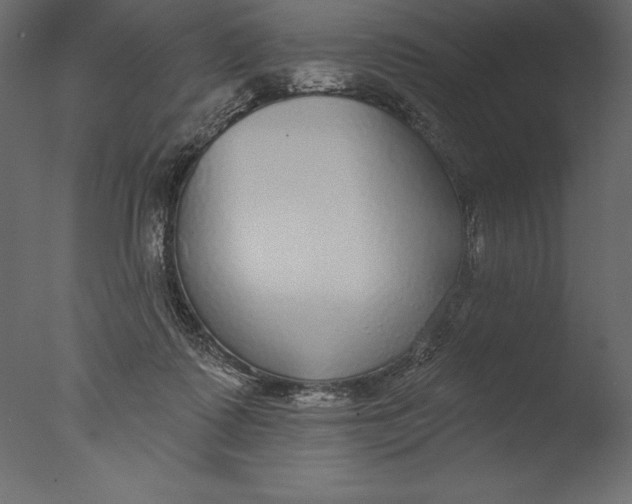 X0000076340315200610201741