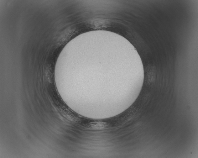 X0000076340316200610201741