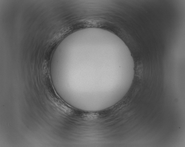 X0000076340318200610201741