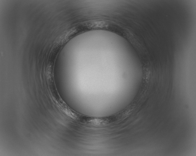 X0000076340326200610201741
