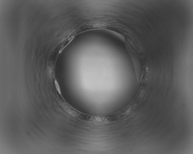 X0000076340329200610201741