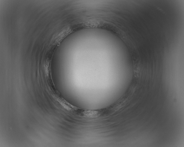 X0000076340334200610201741
