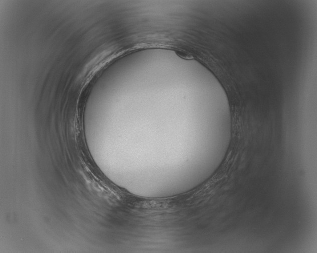 X0000076340338200610201740