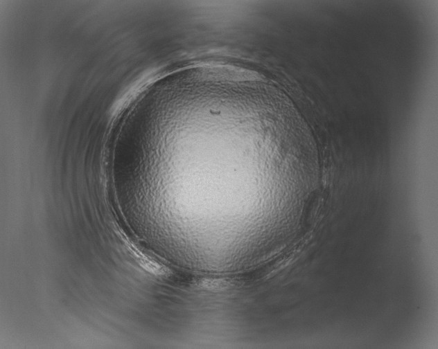 X0000076340341200610201740