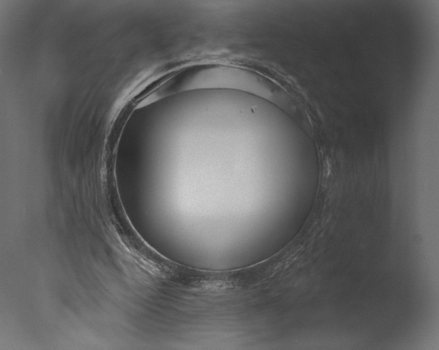 X0000076340344200610201740