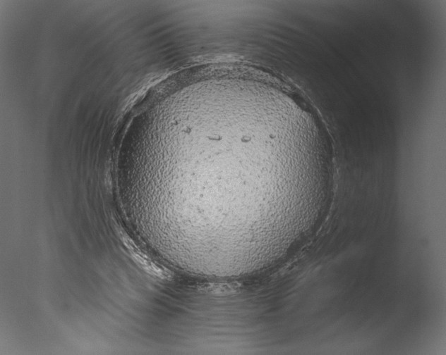 X0000076340345200610201740