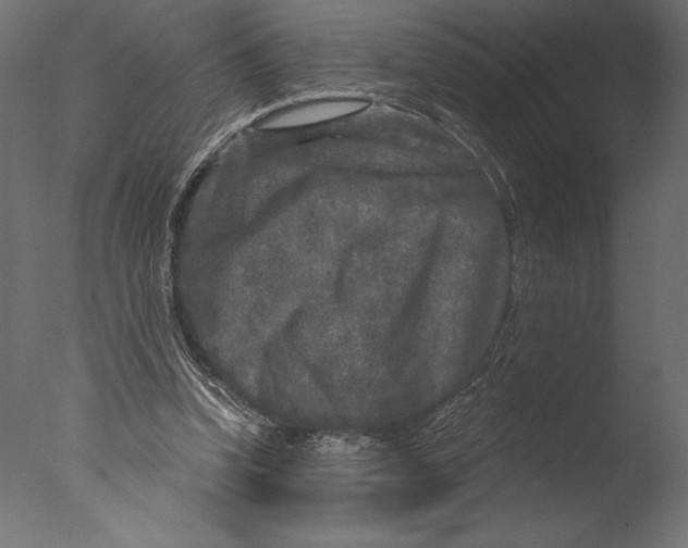 X0000076340346200610201740