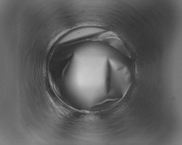X0000076340348200610201740