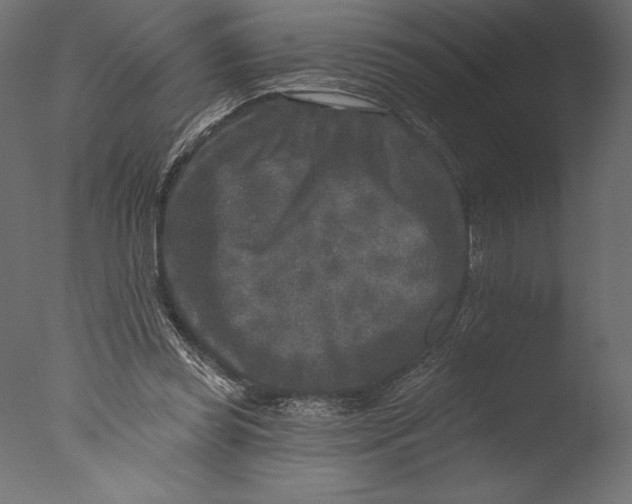 X0000076340349200610201740