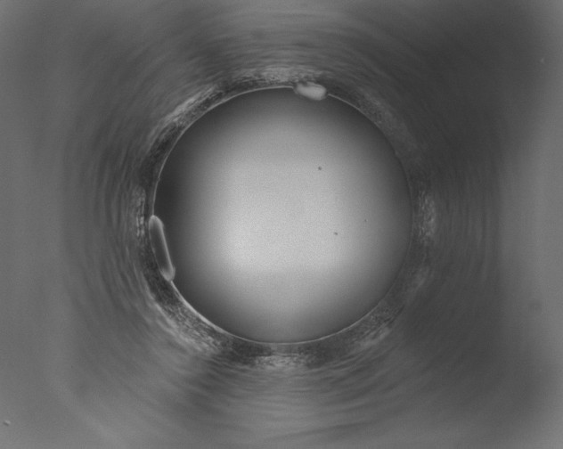 X0000076340356200610201740