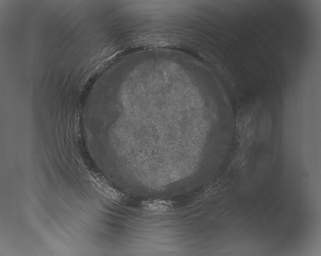 X0000076340359200610201740