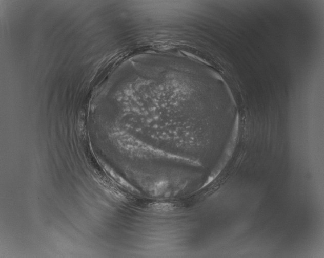 X0000076340361200610201740