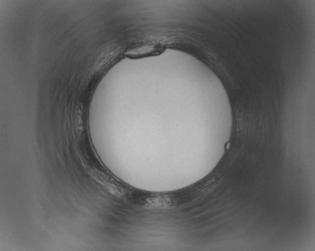 X0000076340362200610201740