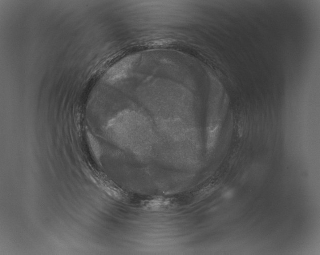 X0000076340366200610201740
